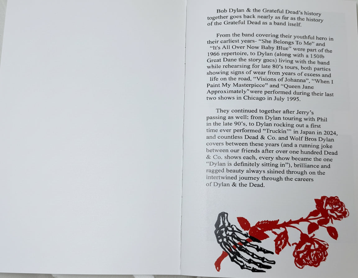 DYLAN & THE DEAD ZINE