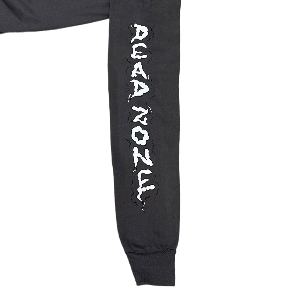 BACK ON THE TRAIN LONG SLEEVE T