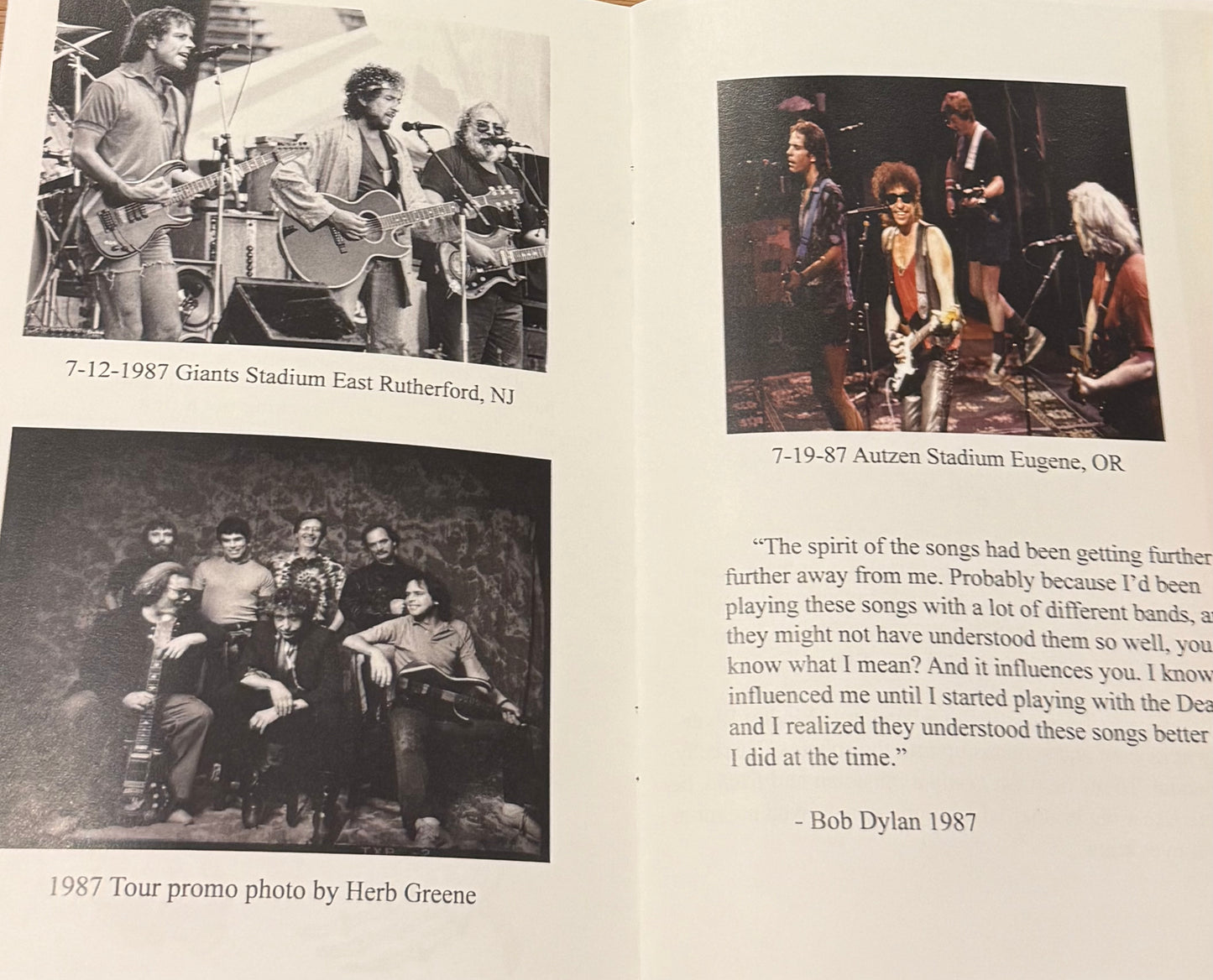 DYLAN & THE DEAD ZINE